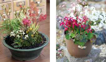 大文字の楽しみ方